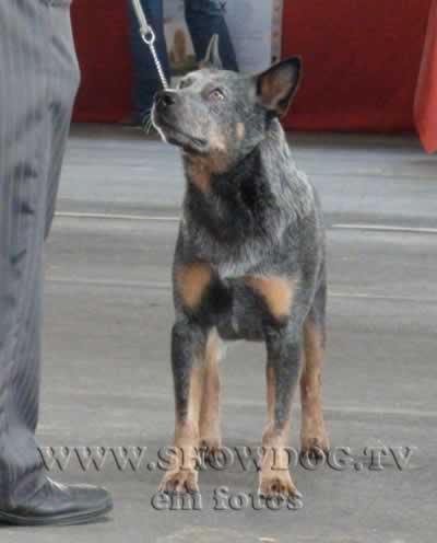 Clique sobre a foto para fechar